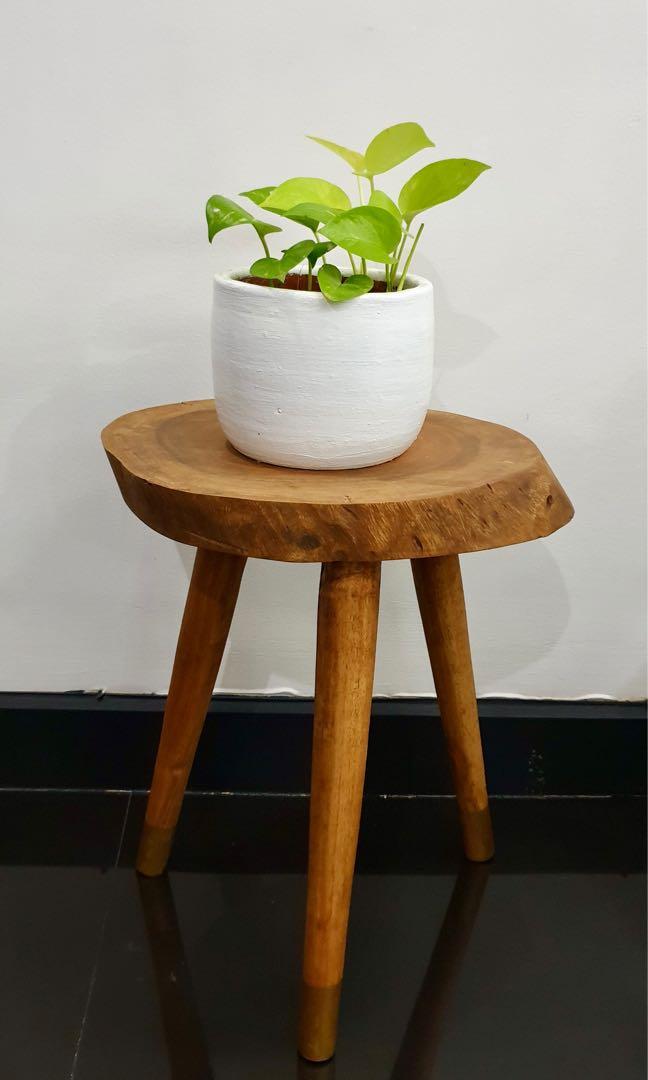 Scandinavian style side table/plant stand (Category: Tables & Sets) located in Las Pinas. Submitted by kringz (Listing ID 1067327134, Image 1). Description: Brand new SIDE TABLE with live-edge table top and scandinavian style legs Made with solid Jackfruit (Langka) wood coated with a bit of sealer. Matte finish from top legs. Comes in either set of three or solo. Height ranges: Small - 17 inches (Php 1,750.00) Medium - 25 inches (Php 1,850.00) La