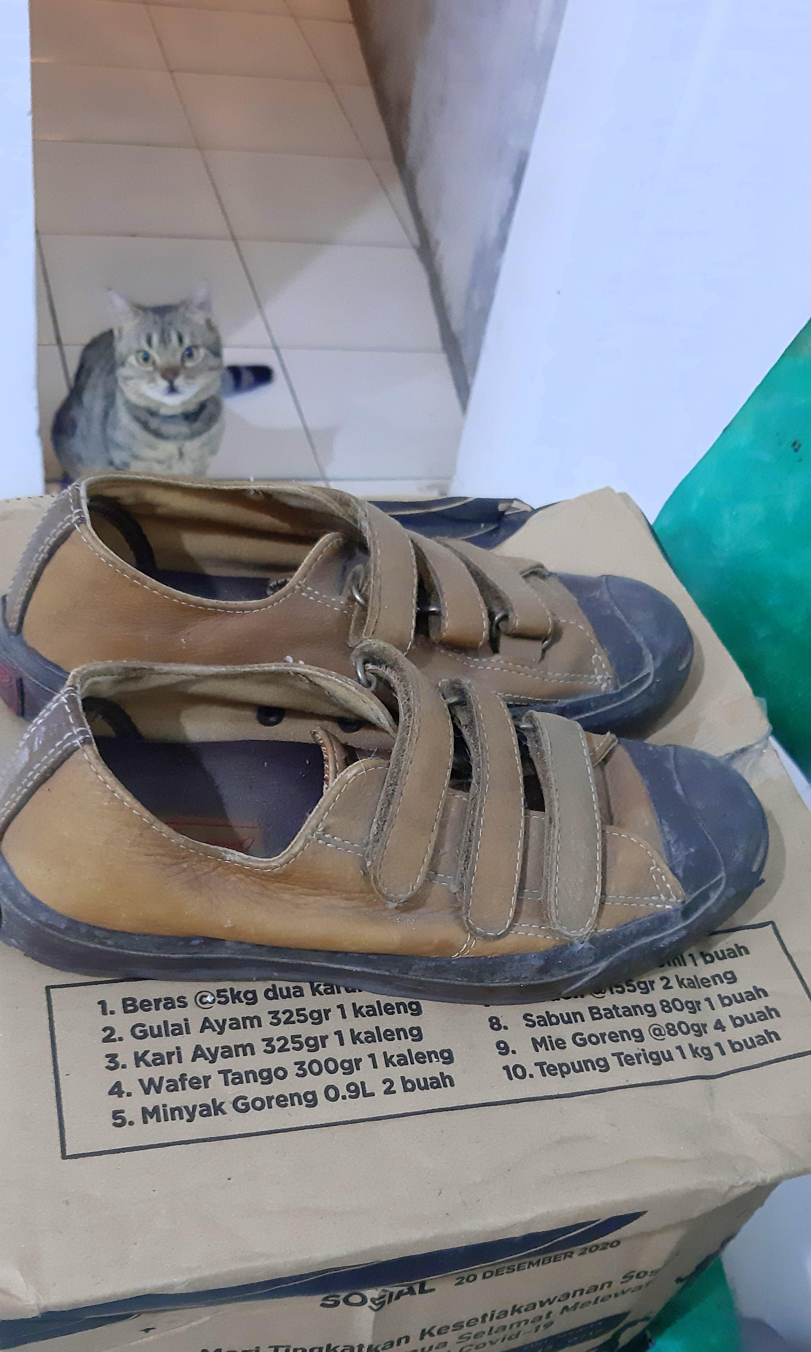 jack purcell converse online