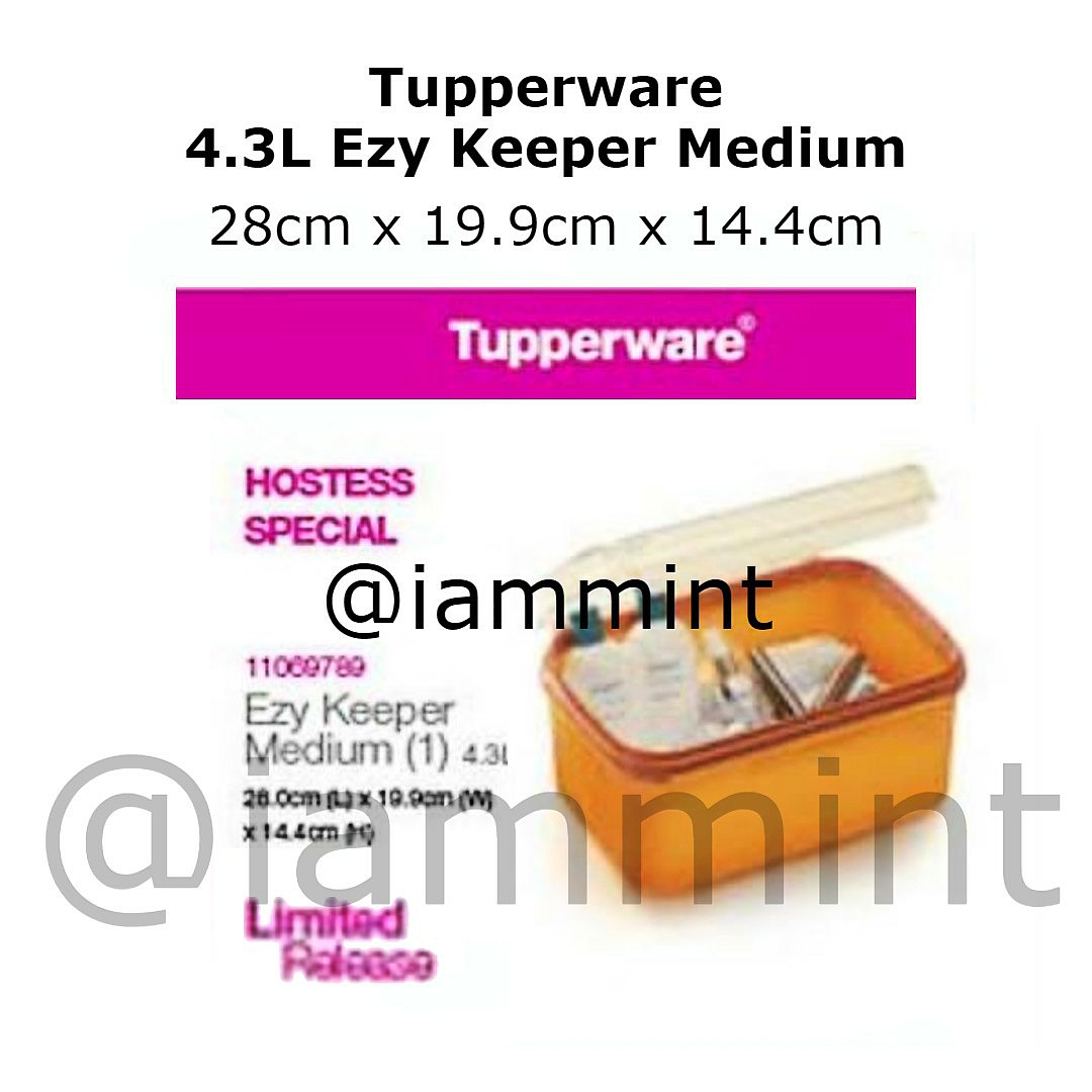 Tupperware 4.3L Ezy Keeper Rectangular Container Box, Furniture & Home ...