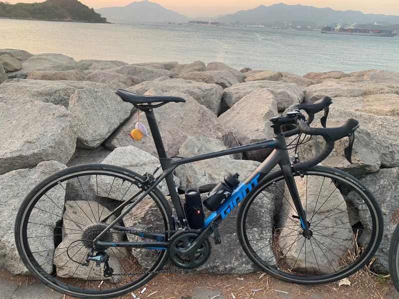 GIANT TCR SL2 2019