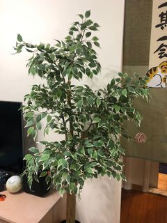 （分類：）位於 。 由 tigerbb3021 提交（商品編號 1067362857，圖片 1）。簡介： 。