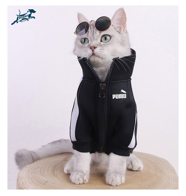 Cat clothing cheap accessories