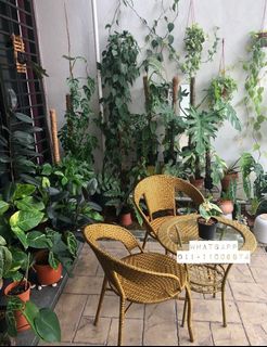 (Category: ) located in . Submitted by shopwithnylaa (Listing ID 1067476192, Image 1). Description: .