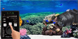 (Category: ) located in . Submitted by aquamaniacs (Listing ID 1067512943, Image 1). Description: .