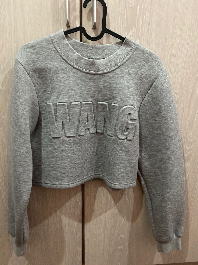 Alexander wang h&m scuba sweatshirt online