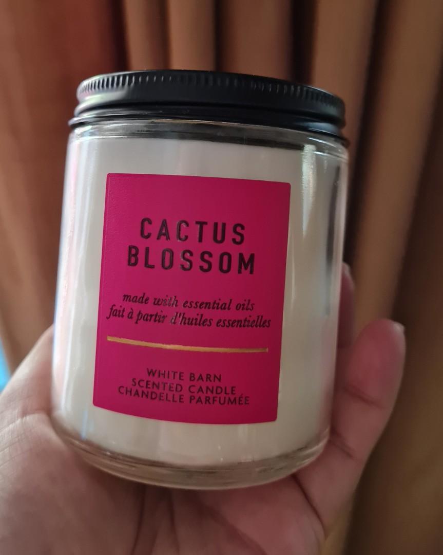 Bath & Body Works Cactus Blossom Single Wick Candle