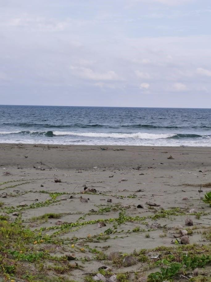 FOR SALE : Beachfront Property Lots (Category: Lot) located in Makati City. Submitted by hanevy (Listing ID 1065075792, Image 1). Description: FOR SALE: Beachfront Property Lot 🏝 ✅ Located in Barangay Ipil, Dipaculao, Aurora. It is the next Barangay after the Municipal Town proper of Baler, Aurora, around 10-15 minutes drive 🚗 from the Baler Town Proper. ✅ The property is safely documented with land titles. ✅ This property comes with coconut tr