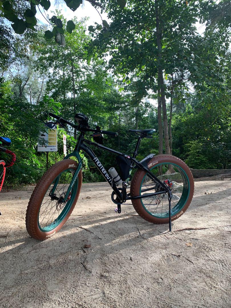 Momentum Giant Fat Bike Sports Equipment Bicycles Parts Bicycles on Carousell