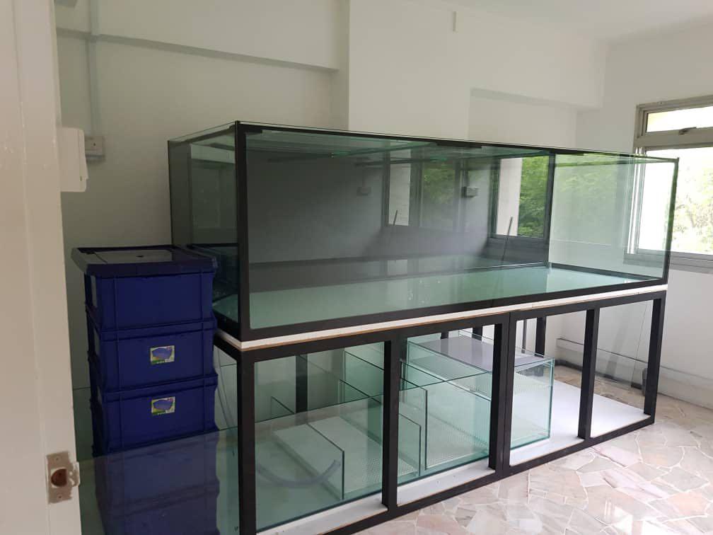 8ft store fish tank