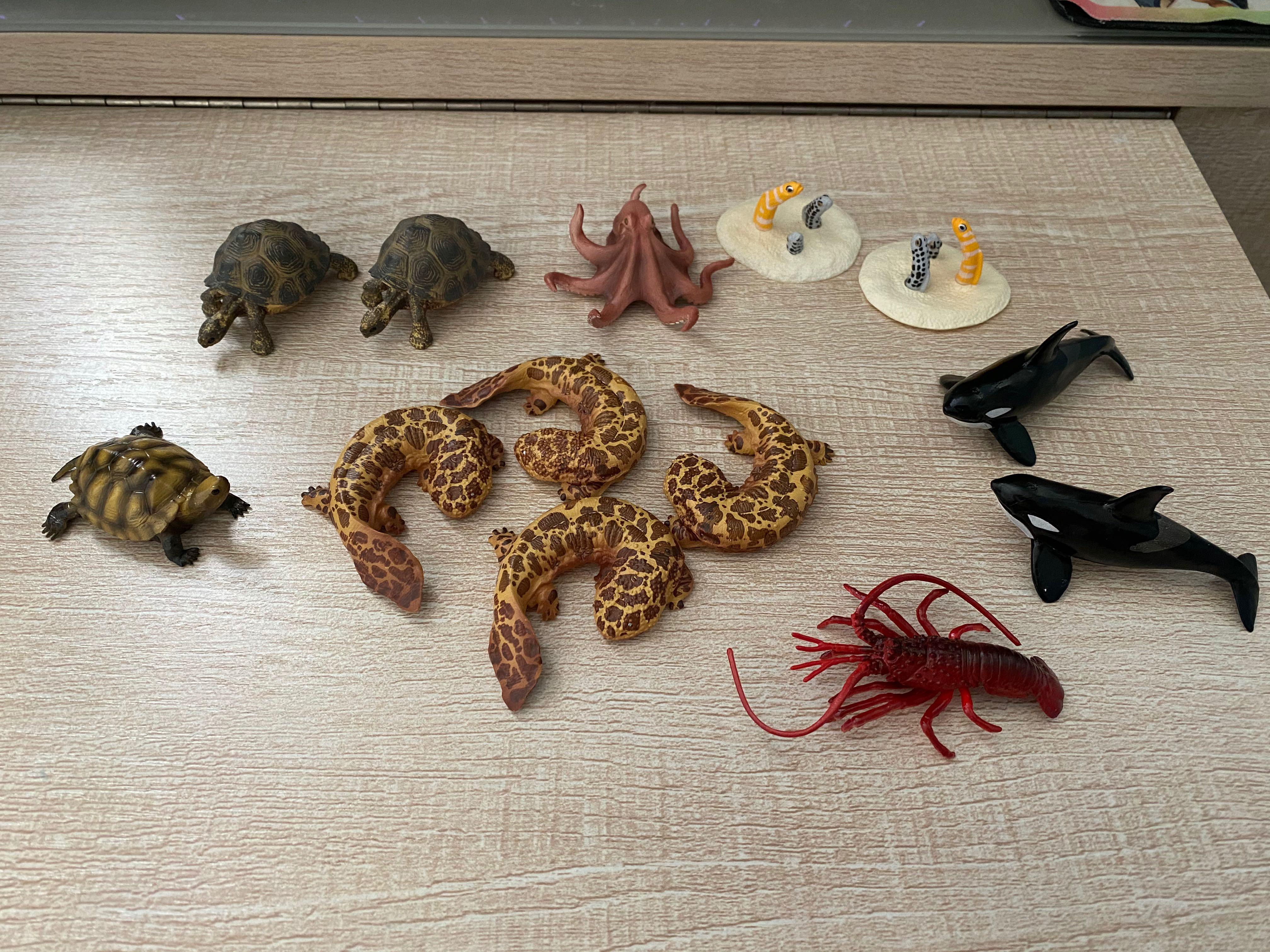 小型海洋生物模型 13 件 玩具 遊戲類 玩具 Carousell