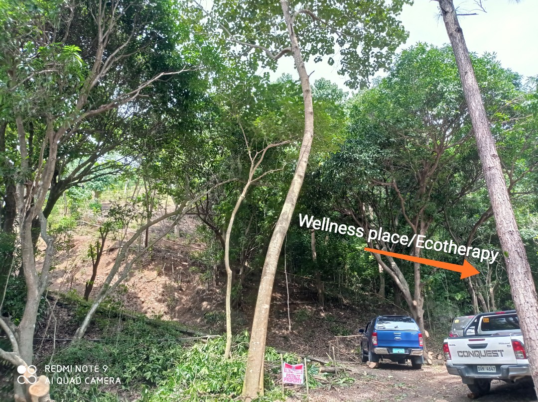 Anilao Mabini Batangas commercial area, Property, For Sale, Lot on