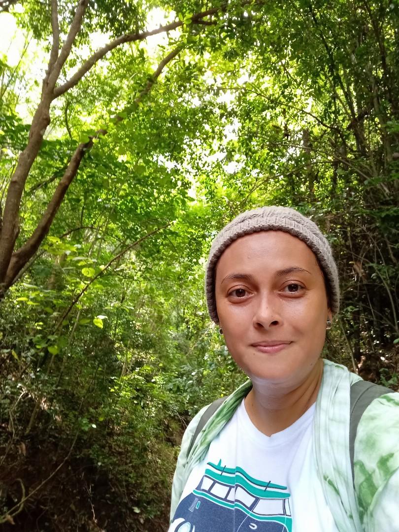 Anilao Mabini Batangas commercial area, Property, For Sale, Lot on