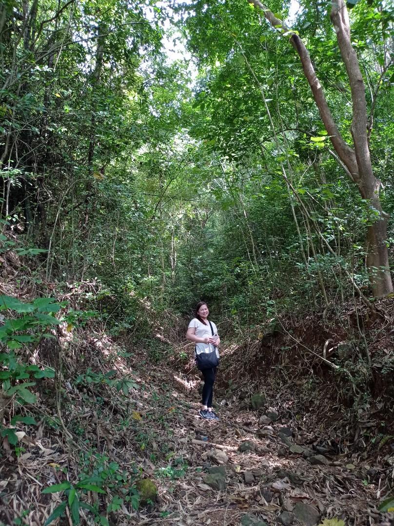 Anilao Mabini Batangas commercial area, Property, For Sale, Lot on