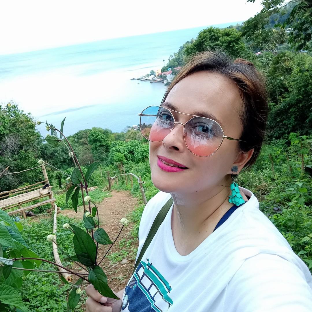 Anilao Mabini Batangas commercial area, Property, For Sale, Lot on