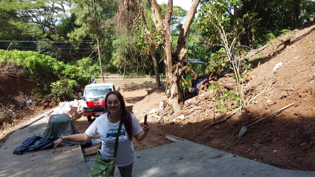 Anilao Mabini Batangas commercial area, Property, For Sale, Lot on