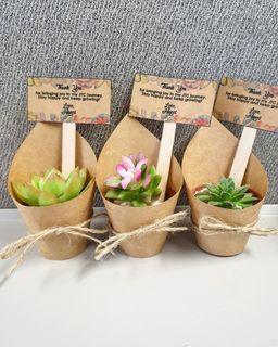 Colorful Mini Succulents Giveaways Gift Token