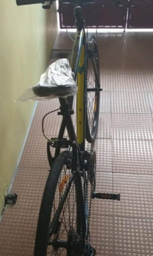 stepdragon mountain bike price