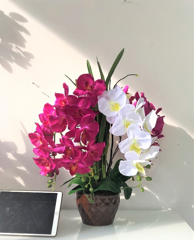 Plant Orchids x5 Artificial Aplant339, Furniture & Home Living, Home ...