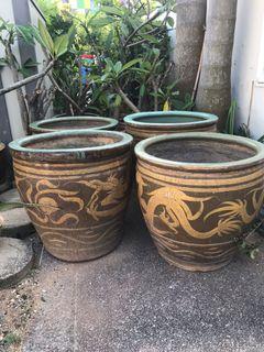 Large Pot Gardening Carousell Singapore