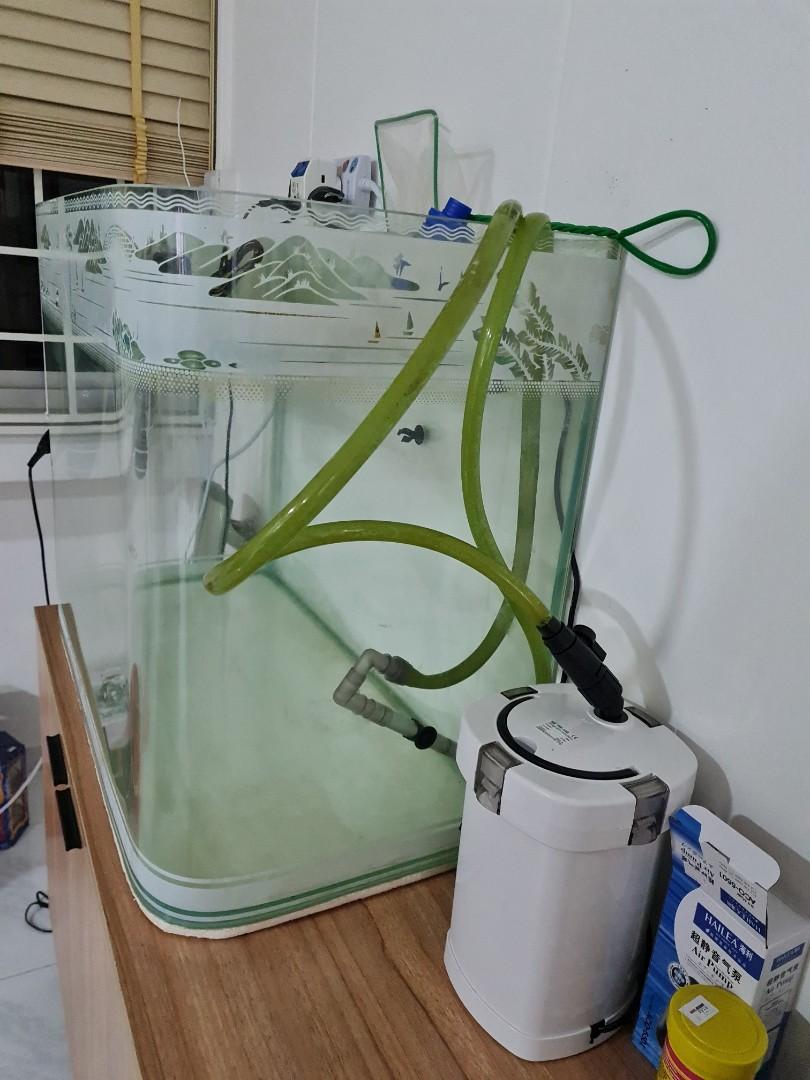 31 x 14.5 inch fish tank for sale + foc external water filter and light ...