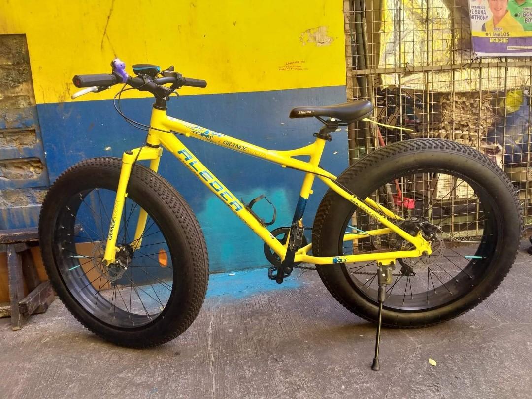 aleoca fat bike