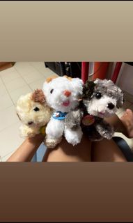 (Category: ) located in . Submitted by munee (Listing ID 1068164159, Image 1). Description: .