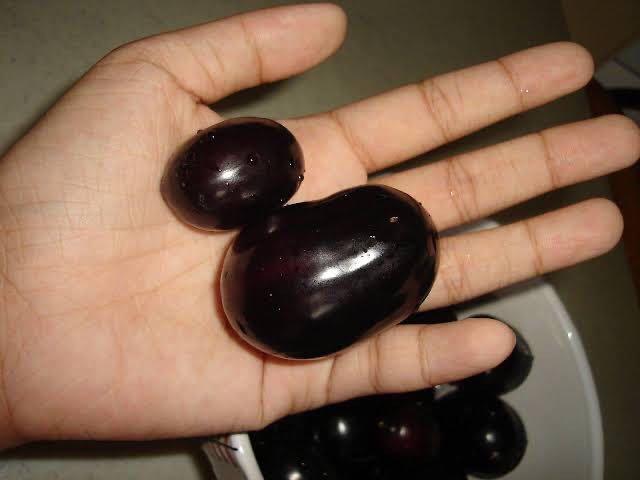 Giant Duhat Plant (Category: Plants & Seeds) located in Calamba. Submitted by qualityfruittrees25 (Listing ID 1068160923, Image 3). Description: Small and big.
