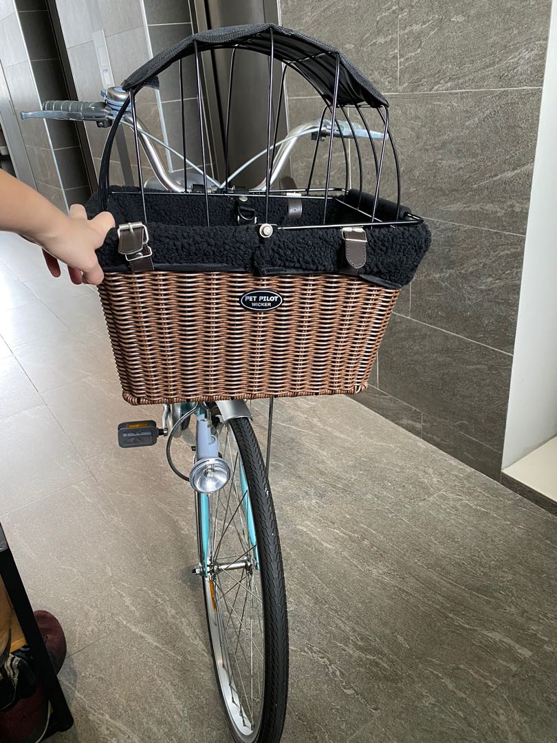 Pet pilot wicker clearance