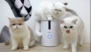 （分類：）位於 。 由 funnypighouse 提交（商品編號 1068404642，圖片 1）。簡介： 。