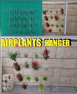 AIRPLANTS HANGER ( stainless steel wire) 3 for $15