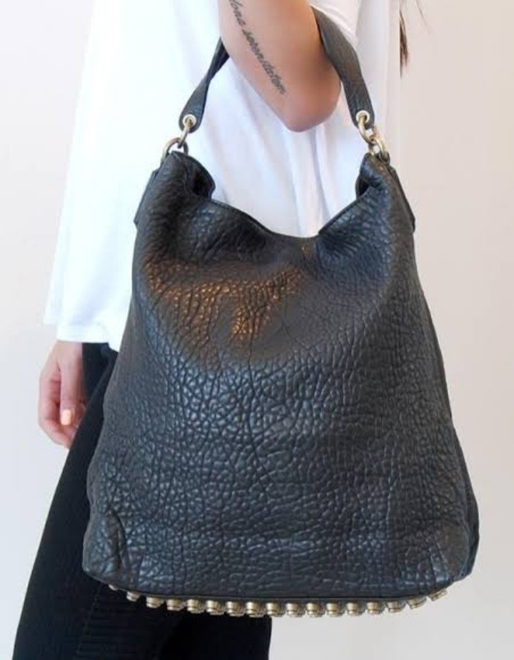 Alexander wang darcy hobo bag hotsell