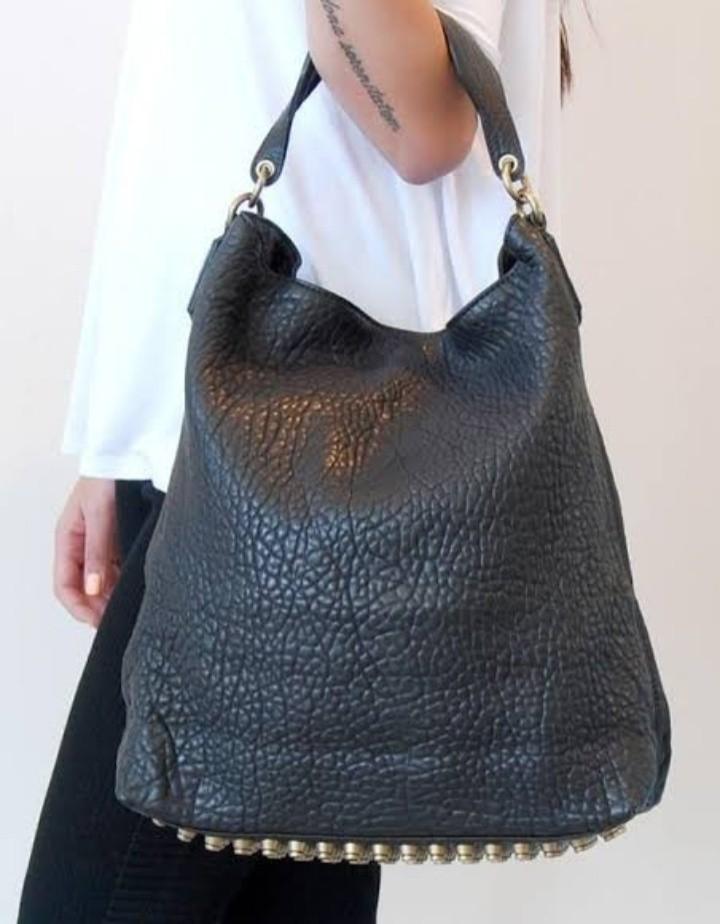 Alexander Wang Darcy Hobo Luxury Bags Wallets on Carousell