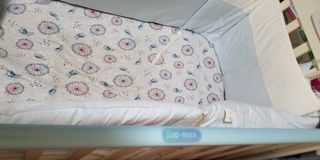 （分類：）位於 。 由 d.ashley582 提交（商品編號 1068232291，圖片 1）。簡介： 。
