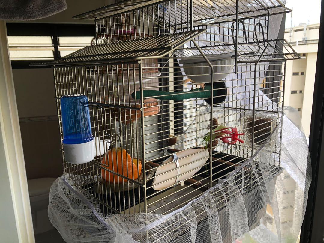 large parakeet cage with stand