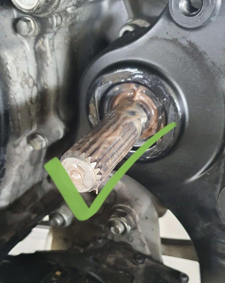 Greasing Service for Tmax 530 560 all years, Motorcycles, Motorcycle