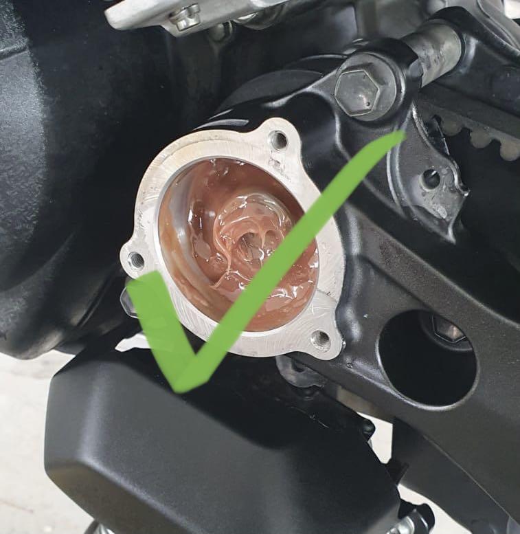 Greasing Service for Tmax 530 560 all years, Motorcycles, Motorcycle