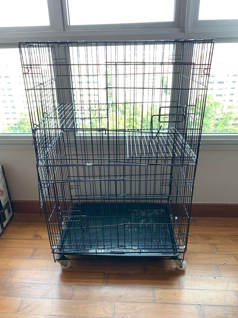 Used Cat Cage, Pet Supplies, Homes & Other Pet Accessories on Carousell
