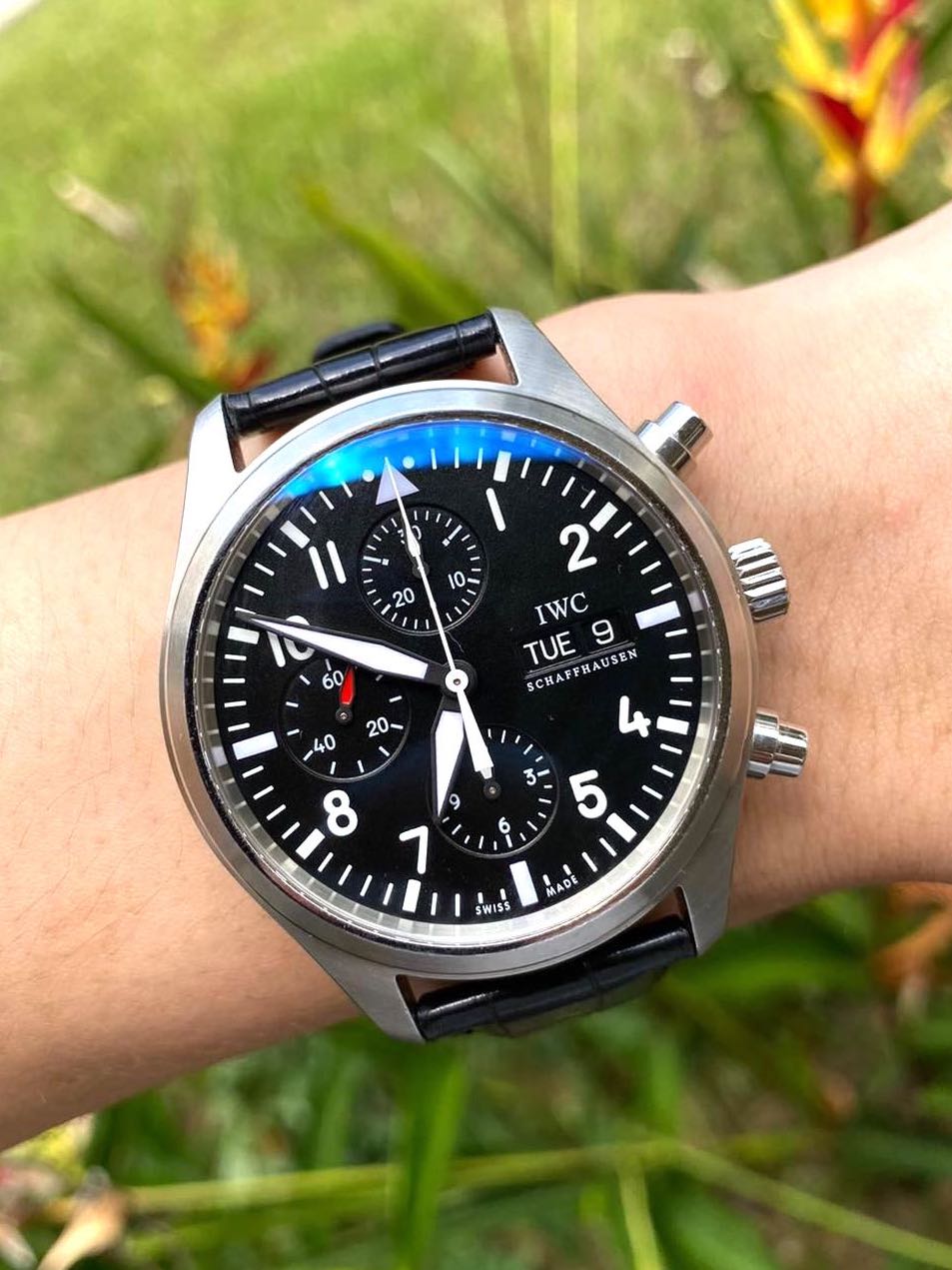 Iwc 3717 store