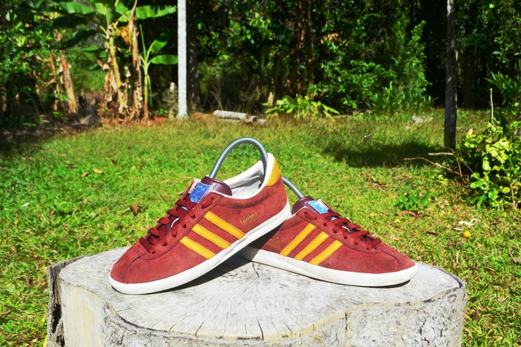 Gazelle og online maroon
