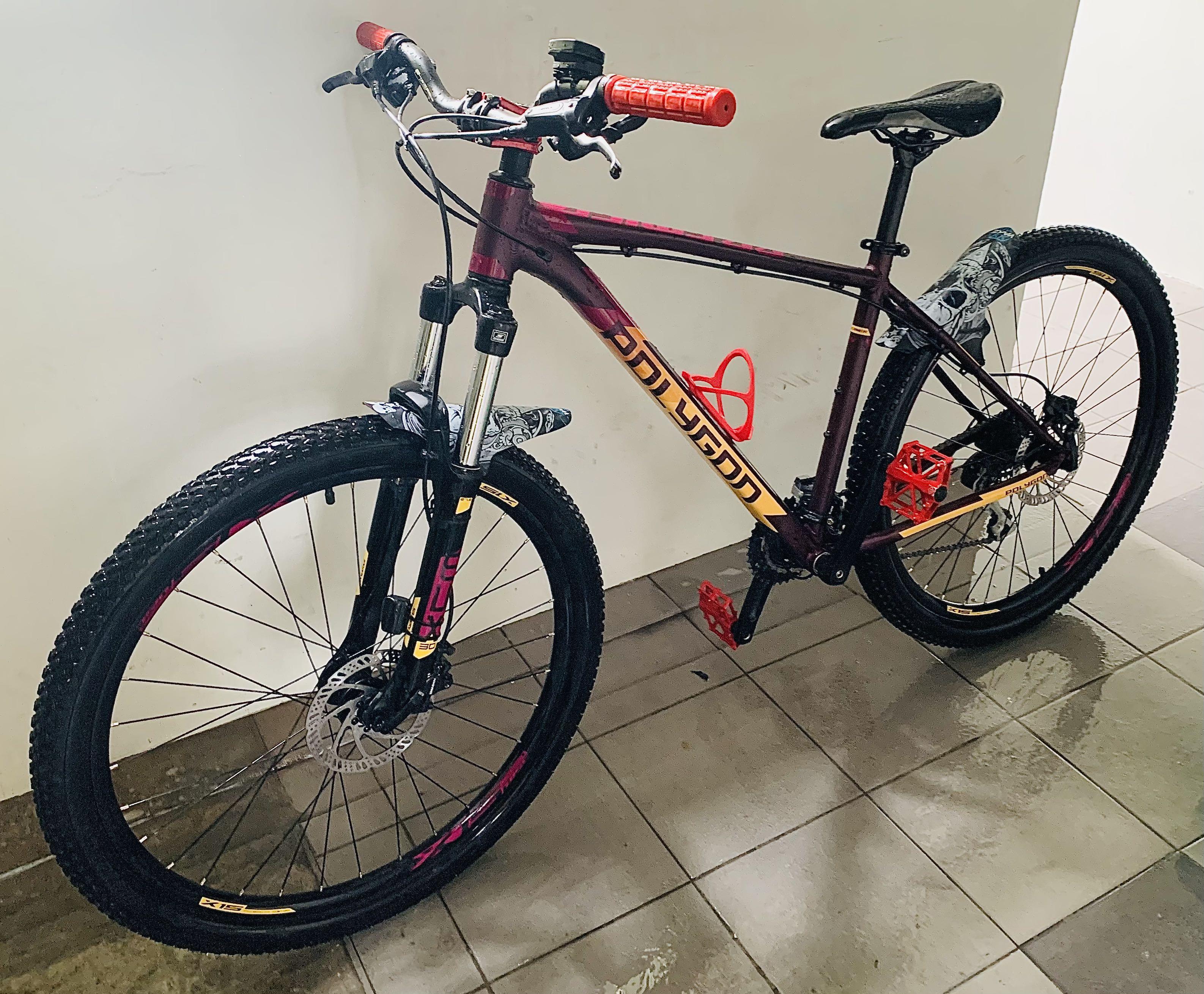 polygon hardtail 2021