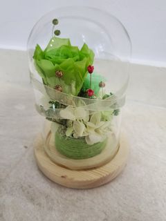(Category: ) located in . Submitted by doris_florist (Listing ID 1068627498, Image 1). Description: .
