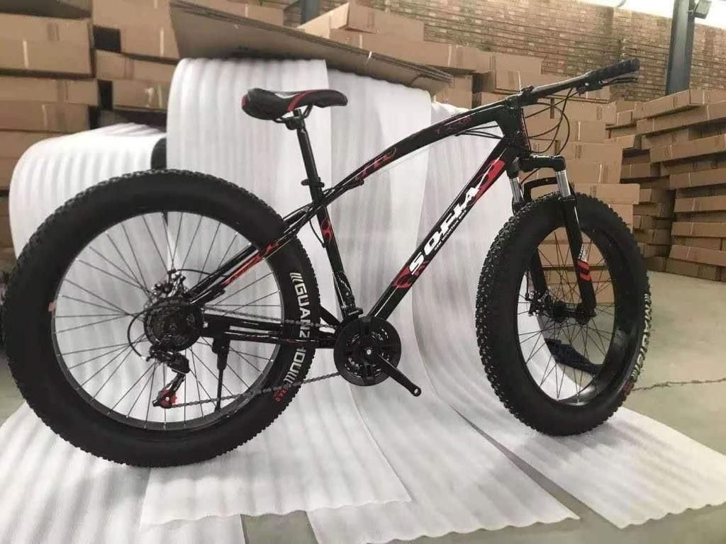 Sofia fat bike 2025