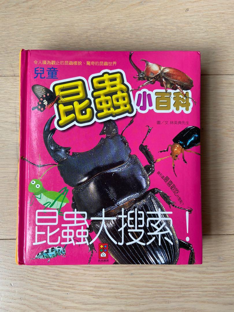 昆蟲小百科昆蟲大搜索 興趣及遊戲 書本 文具 小朋友書 Carousell