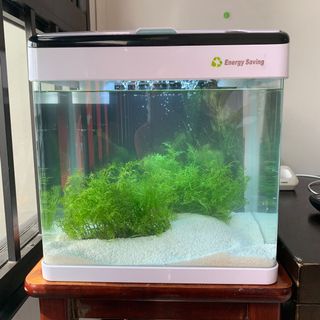 (Category: ) located in . Submitted by fluffy_cottoncandy (Listing ID 1072426539, Image 1). Description: .