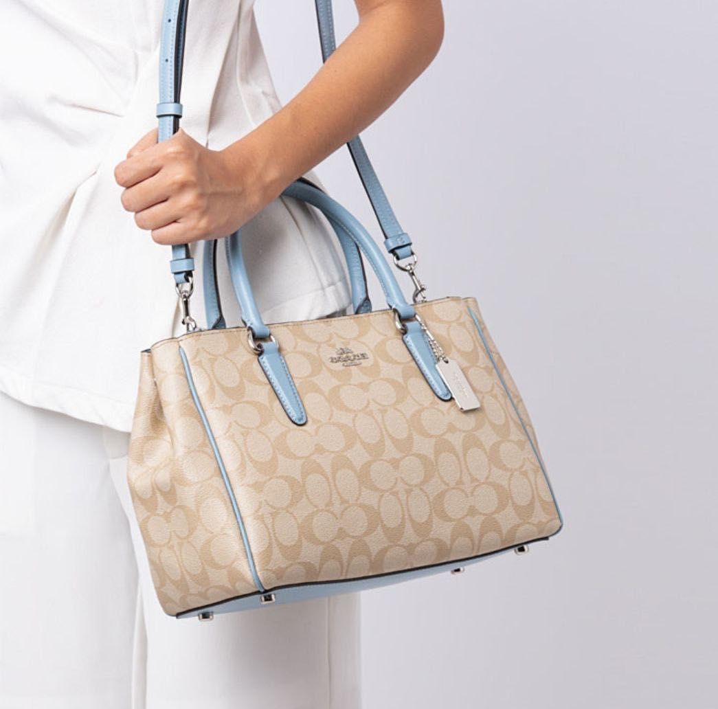 large surrey carryall