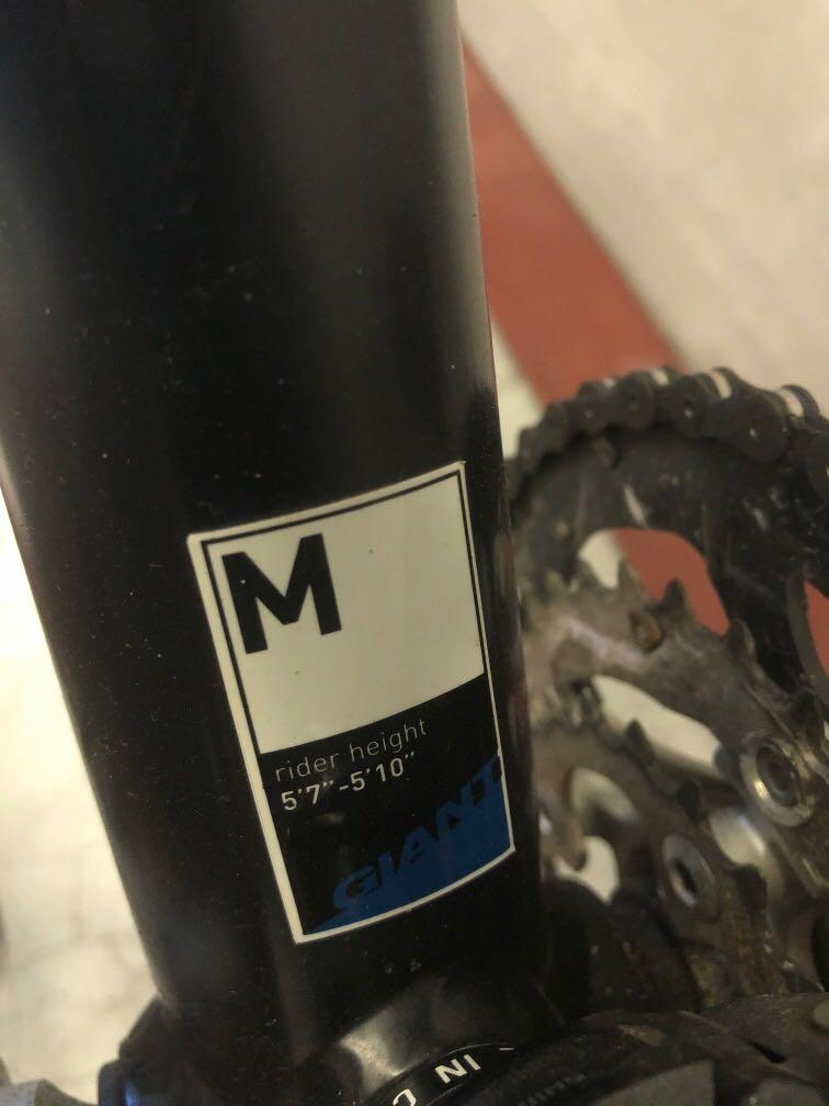 Giant MTB Team Terrago Sports Equipment Bicycles Parts