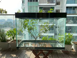(Category: ) located in . Submitted by bichnh (Listing ID 1072354019, Image 1). Description: .