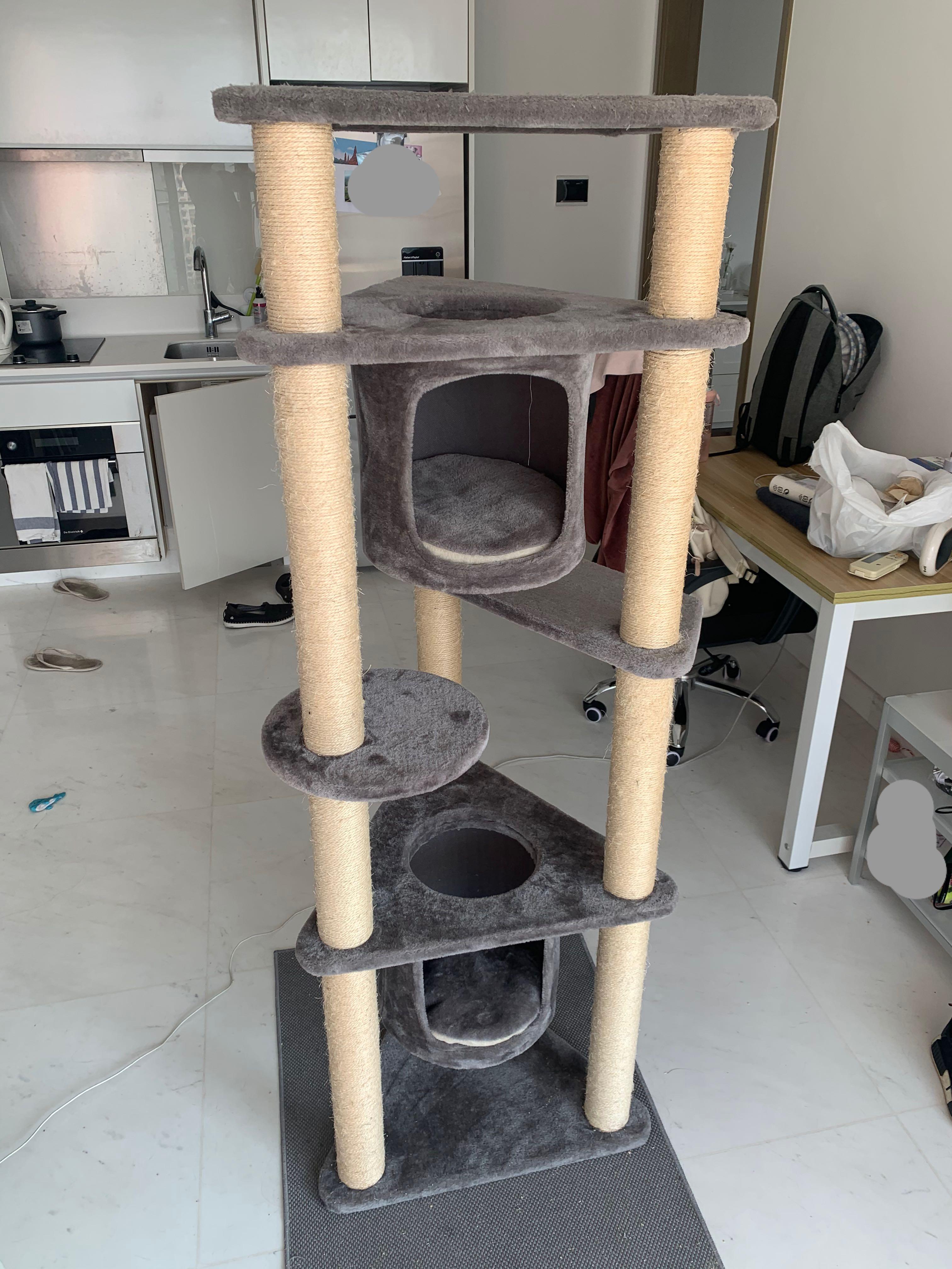 large cat tree