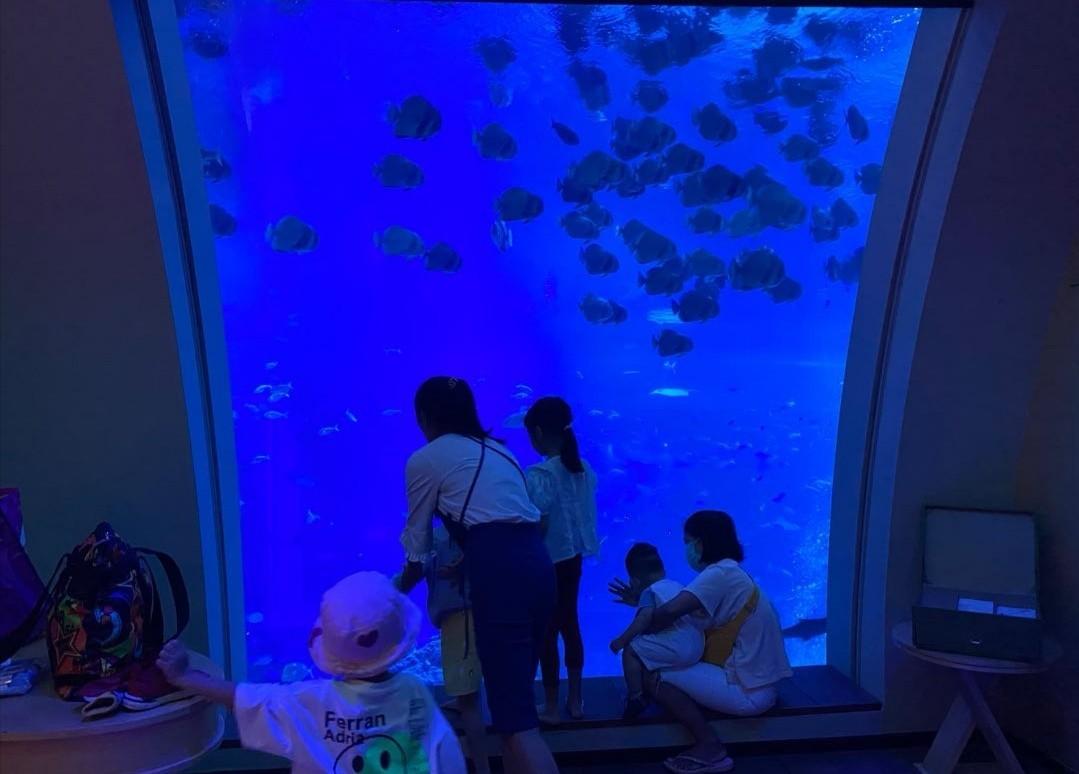 Ocean Suite Equarius Hotel Rooms Rws Resorts World Sentosa Singapore Add Whatsapp Demo Room Video Tickets Vouchers Local Attractions Transport On Carousell