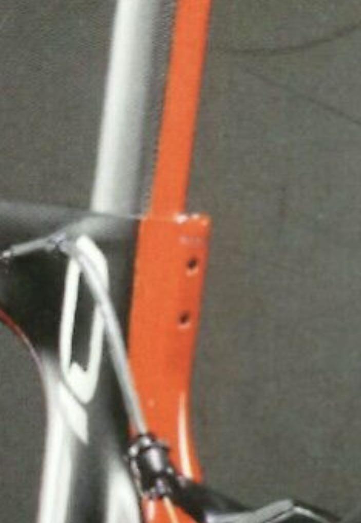 pinarello seatpost bolt